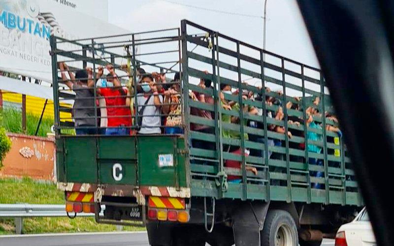 This photo that went viral on social media shows a group of men wearing pink wristbands being transported at the back of a lorry.