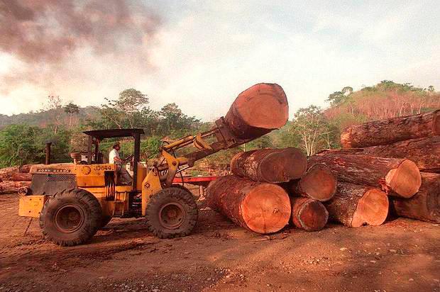 US appeals against WTO ruling in lengthy lumber dispute with Canada