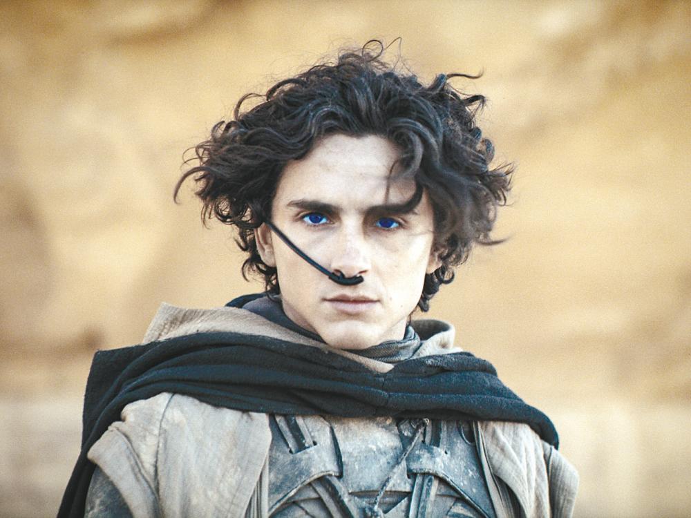 A leading Hollywood star, Chalamet is not averse to dipping his toes in a superhero movies. – WARNER BROS PICTURES