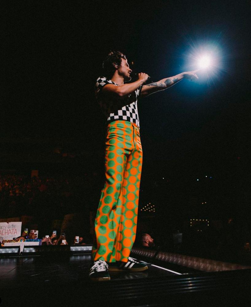 Harry Styles’ Los Angeles fans will have to wait till January to see him perform. – Instagram