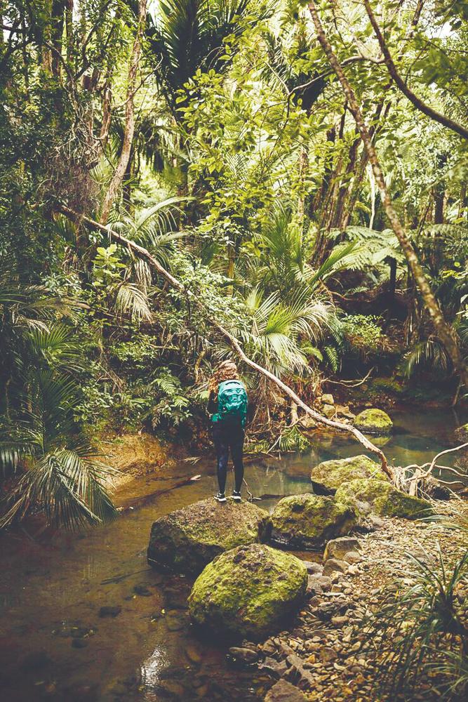 With a cooling sea breeze, a hike up Bukit Pangkor is not as strenous a climb compared with hikes elsewhere. $!With a cooling sea breeze, a hike up Bukit Pangkor is not as strenous a climb compared with hikes elsewhere.
