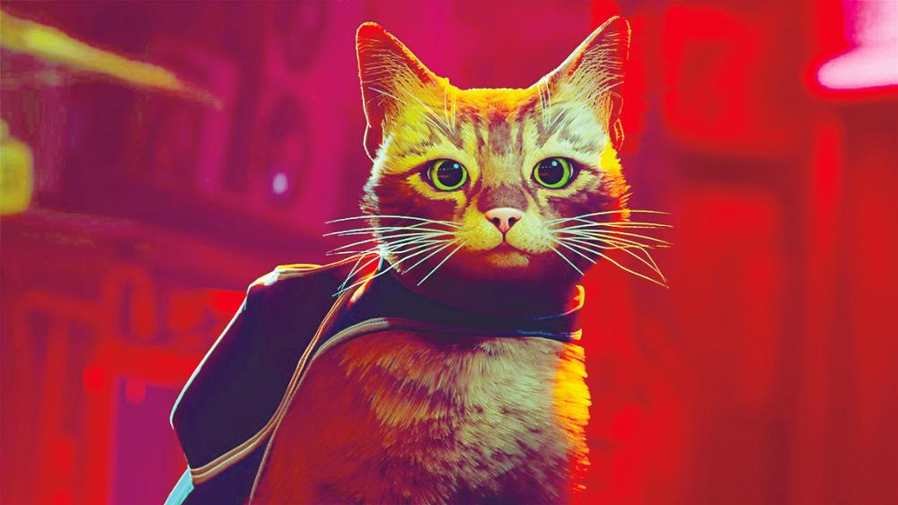 Adorable Cat Game Stray Is Getting A Movie Adaptation