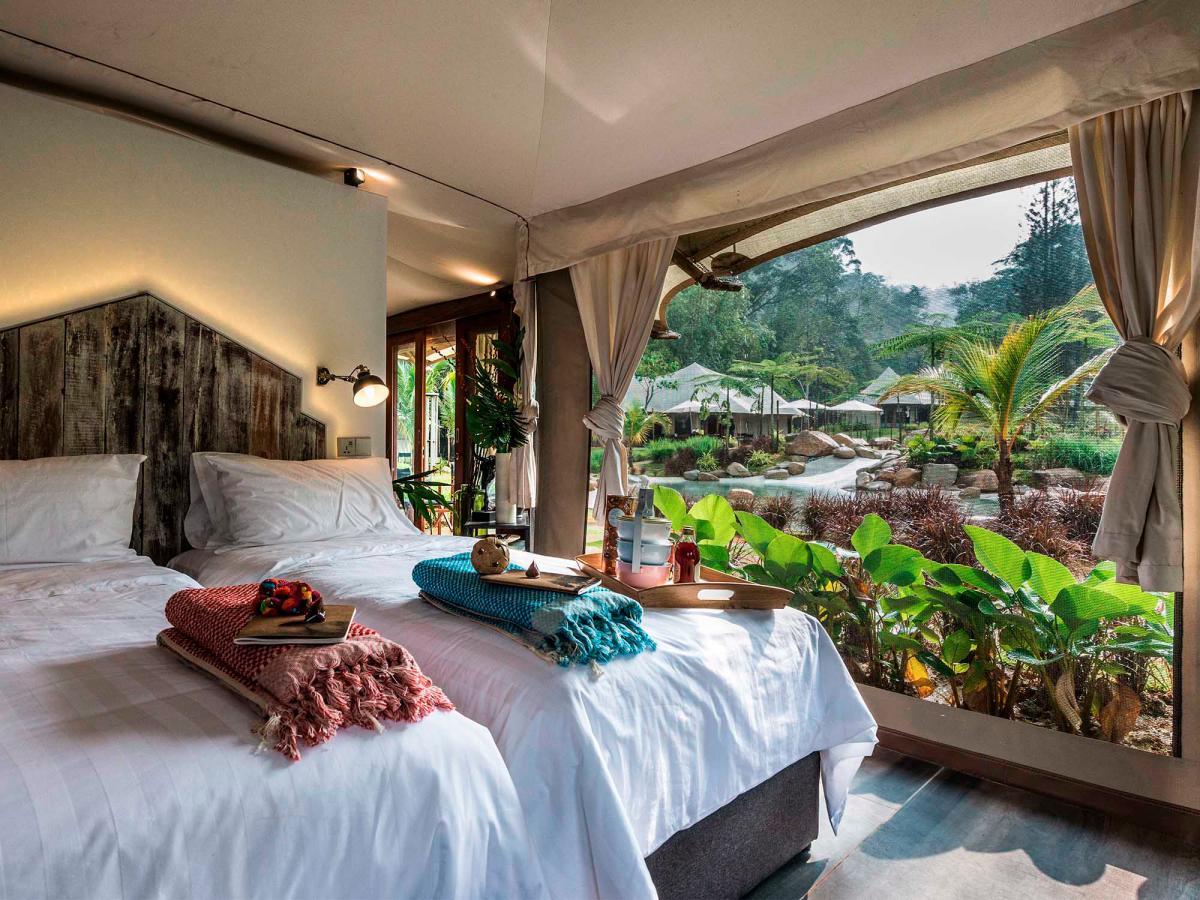 Tiarasa Escapes glamping site offers safari tents and treetop hideaways. — PIC FROM TIARASA ESCAPES $!Tiarasa Escapes glamping site offers safari tents and treetop hideaways. — PIC FROM TIARASA ESCAPES