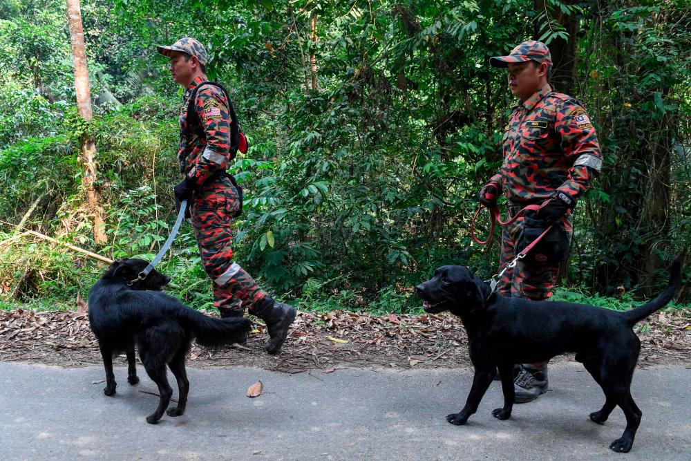 Members of Malaysian K-9 unit take part in a search and rescue operation for the missing 15-year-old Franco-Irish, Nora Quoirin in Seremban on Aug 7, 2019. — AFP