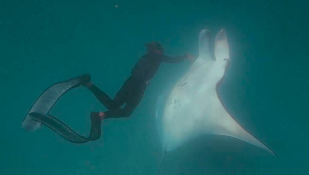 A screengrab of a video by Seadog TV &amp; Film Productions shows underwater photographer Jake Wilton approaching the manta ray.