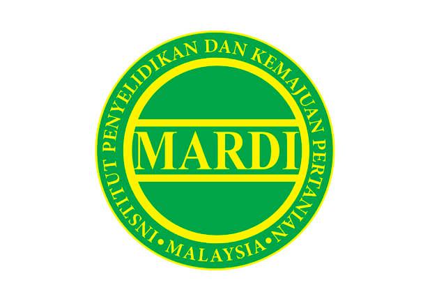 Gambar hiasan