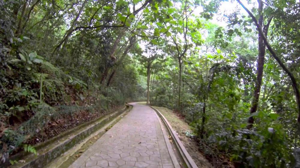 TTDI residents unhappy with state of popular park