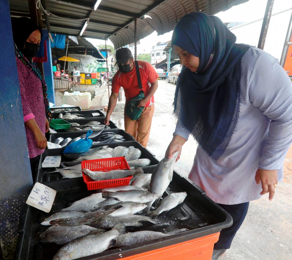 BUKIT MERTAJAM, MAY 25 - The public bought fish as an option during a survey at the Bukit Mertajam Public Market following a call from a consumer association urging Malaysians to make wise choices including temporarily postponing the purchase of chicken as a measure to address the issue of rising chicken prices due to lack of food supply. that. MASRY CHE ANI/THESUN