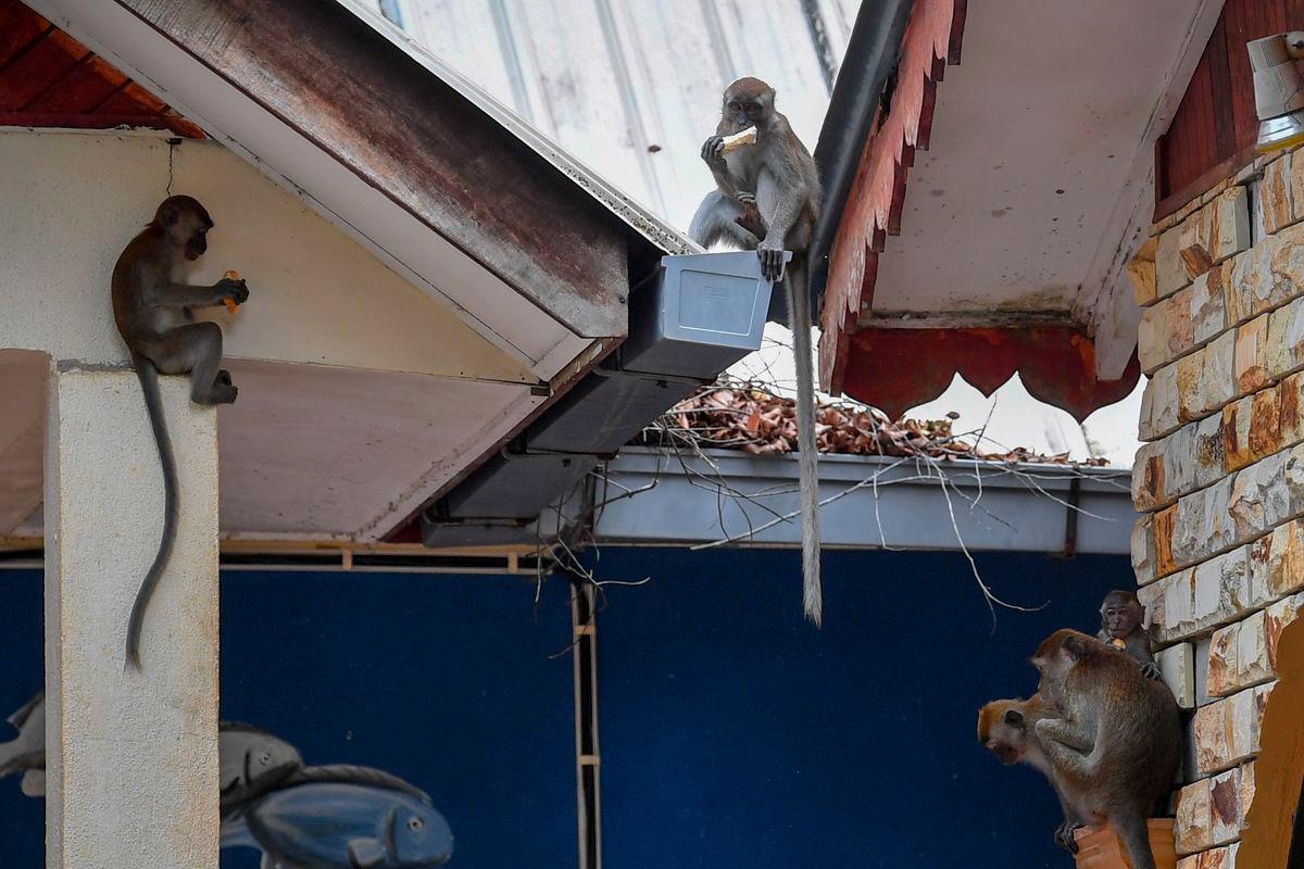 Gambar hiasan - fotoBERNAMA