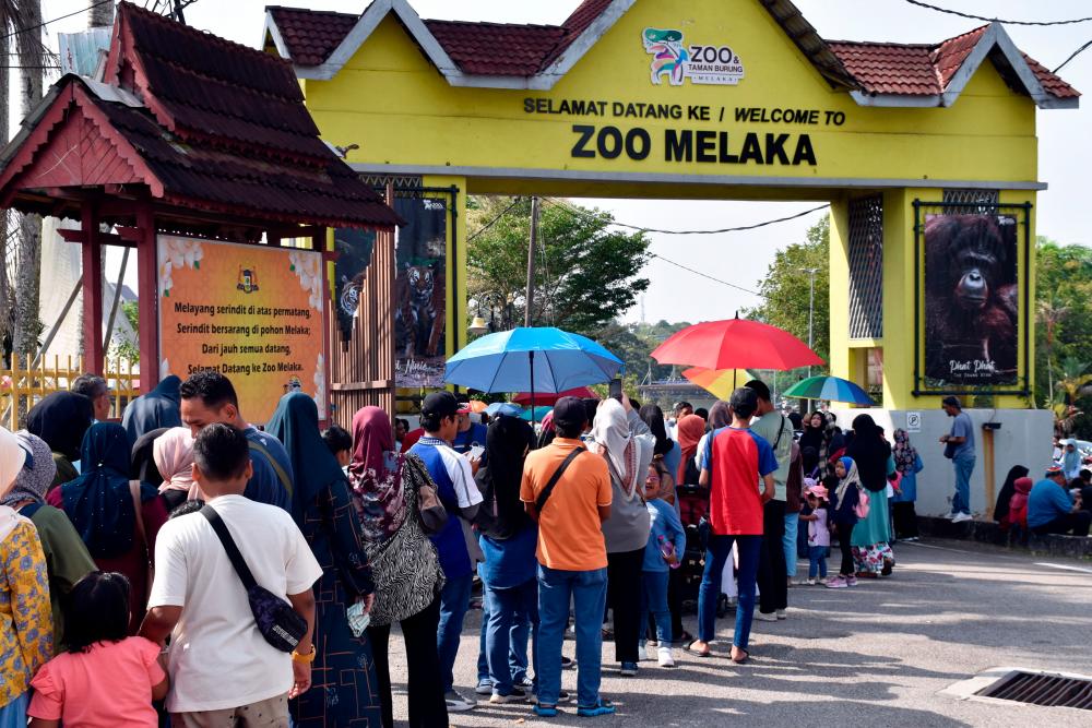 BERNAMApix