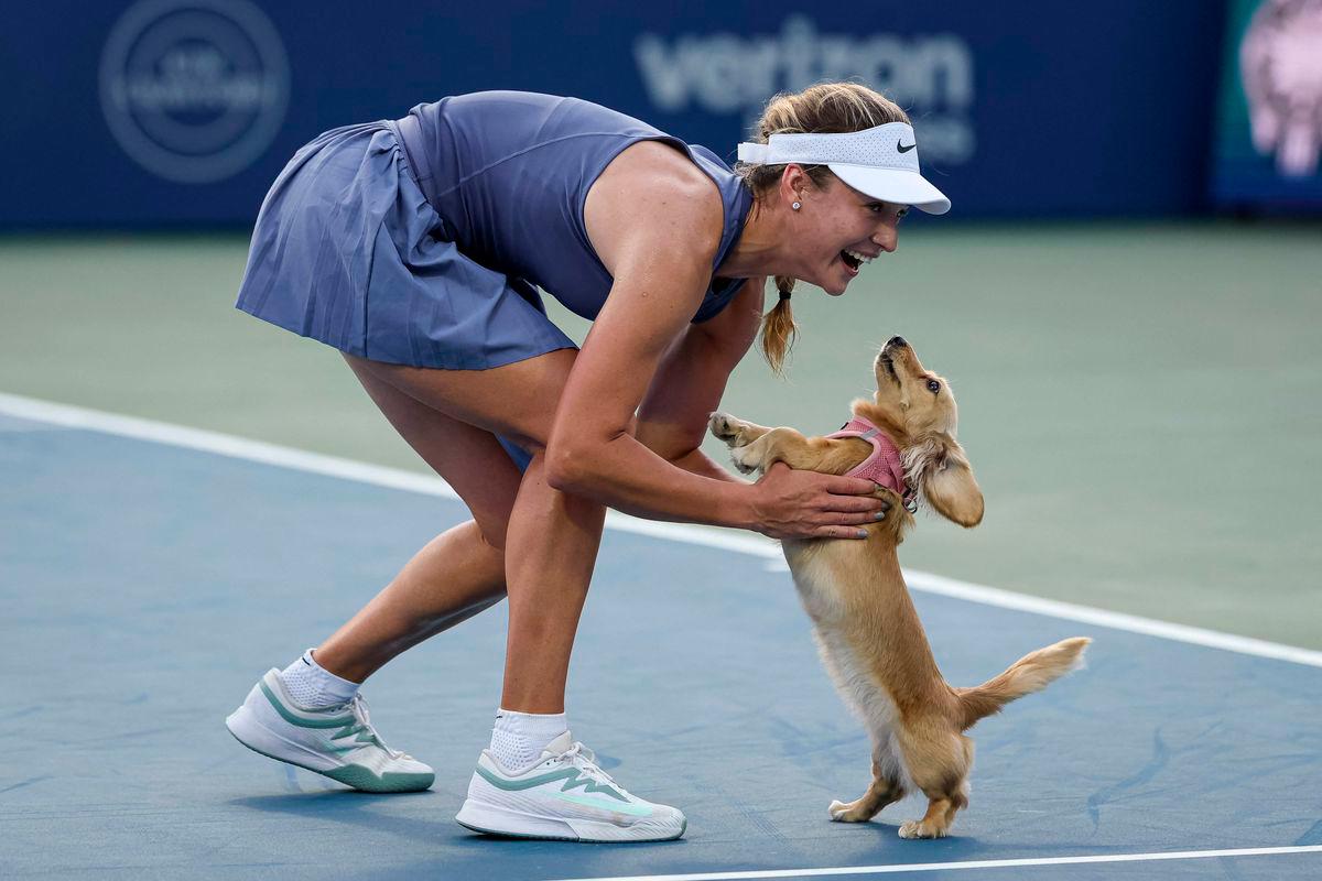 Anna Kalinskaya celebrates with her dog Bella on the court after winning her women’s singles match against Emma Raducanu of the United Kingdom on day 6 of the Mubadala Citi DC Open 2025 at William H.G. FitzGerald Tennis Center on July 26, 2025 in Washington, DC - Photo by Scott Taetsch / GETTY IMAGES NORTH AMERICA / AFP