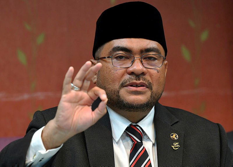 TH will pay higher dividends in future: Mujahid