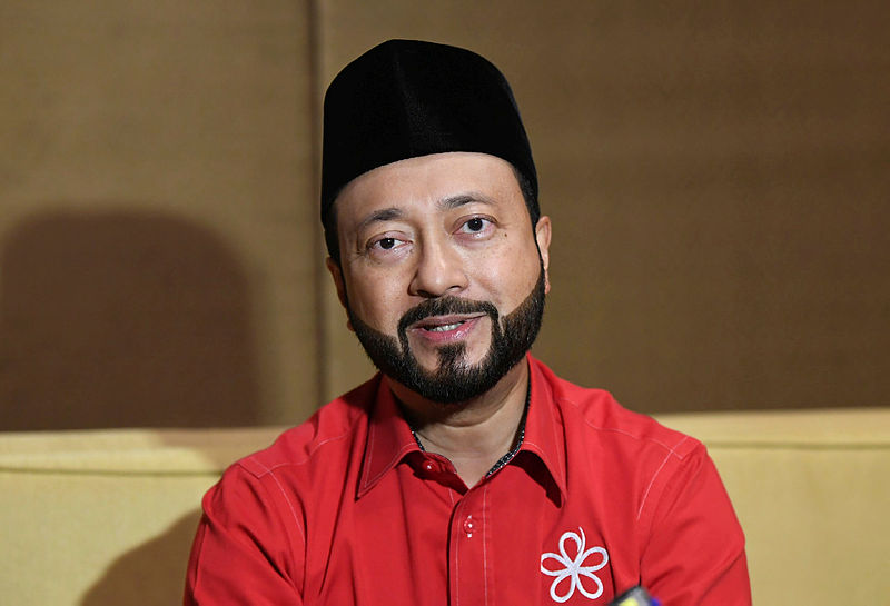 No need for a dominant party in PH: Mukhriz