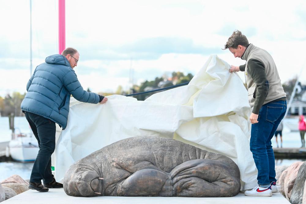 Walrus expert Rune Aae (L) and initiator Erik Holm unveil a bronze sculpture created by artist Astri Tonoian in memory of Freya the walrus, on April 29, 2023 in Oslo, Norway. AFPPIX