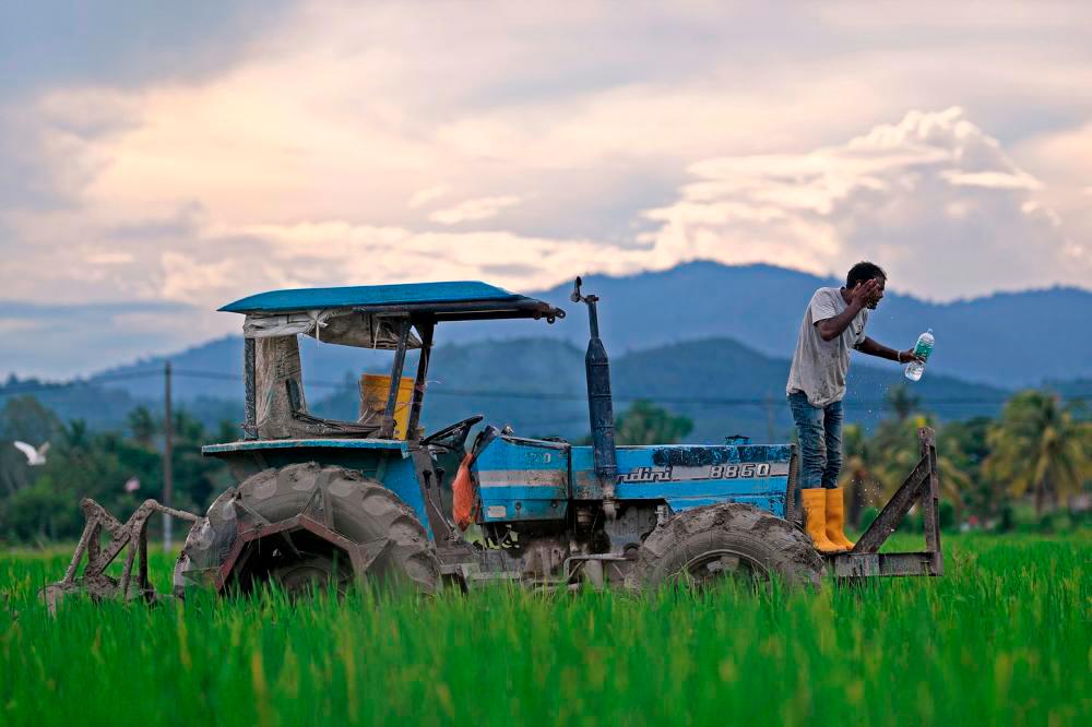 Gambar hiasan. fotoBERNAMA