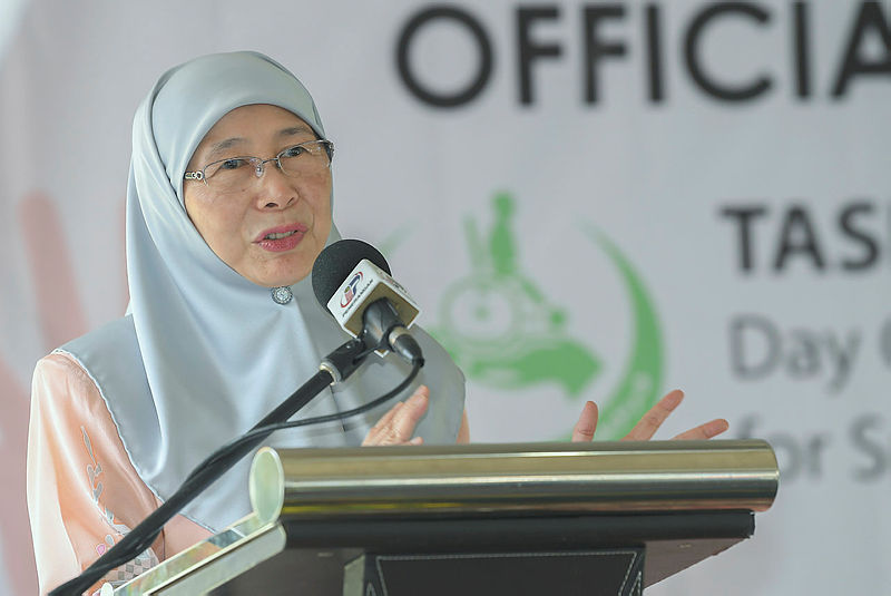 Govt only promotes own products: Wan Azizah
