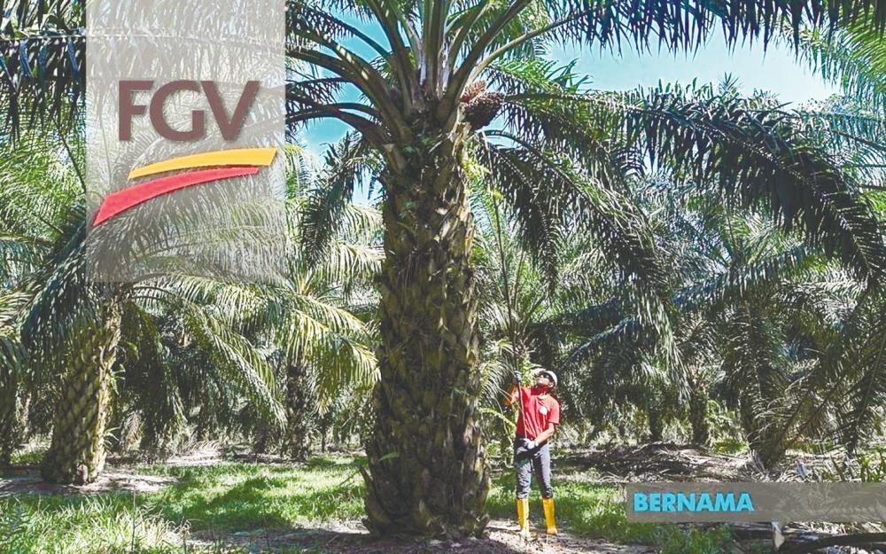 FGV’s business transformation process expected to remain on track