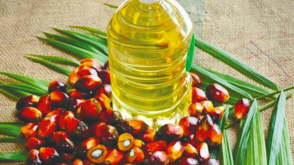In the first nine months of the year, India imported 3.9 million tonnes of processed and crude palm oil from Malaysia.