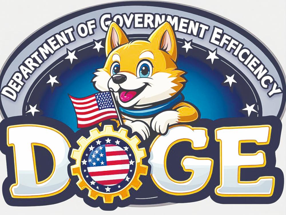 Mainstream media voices are being joined by those from the American left, who are concerned that DOGE may be a tool for big businesses. – image credit : elon musk x