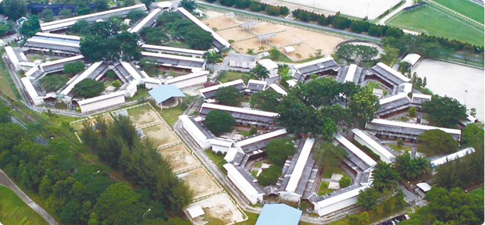 Club’s success in securing a simulcast and wagering agreement with Tabcorp Holdings and RWWA will help boost its image in internationally and generate additional revenue for the club. – Selangor Turf Club Website