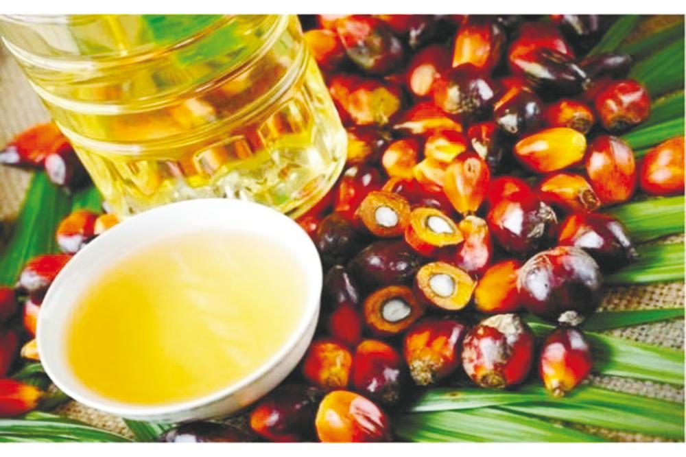 A more bullish outlook for crude oil prices and upside risks to alternative vegetable oils coming from La Niña will also support palm oil prices. – BERNAMAPIX