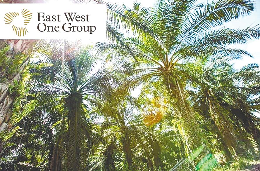 East West One Group obtains planters’ approval for rehab, revamp exercise