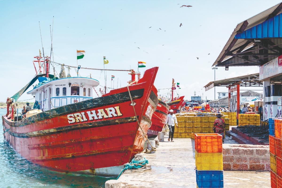 Economists say India remains relatively protected from trade tensions, helped by lower reliance on goods trade, tax cuts, and lower interest rates. – Pexels pix