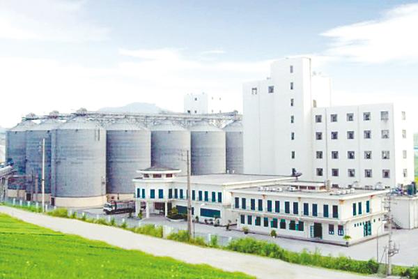 MFM’s Vimaflour in northern Vietnam completed its installation of 18 additional wheat silos with an extra storage capacity of 65,000 tonnes in FY23. – MFM website pic