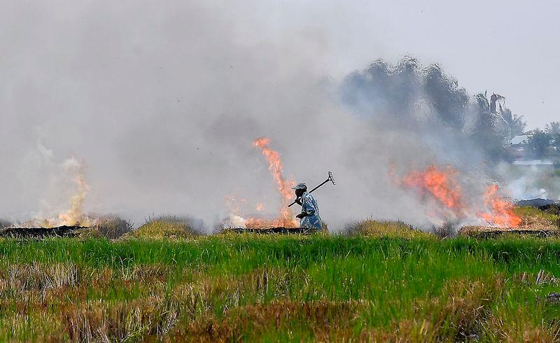 Open burning cases continue to rise, with Sabah having the highest number, followed by Johor, Kedah and Selangor. – MASRY CHE ANI/THESUN