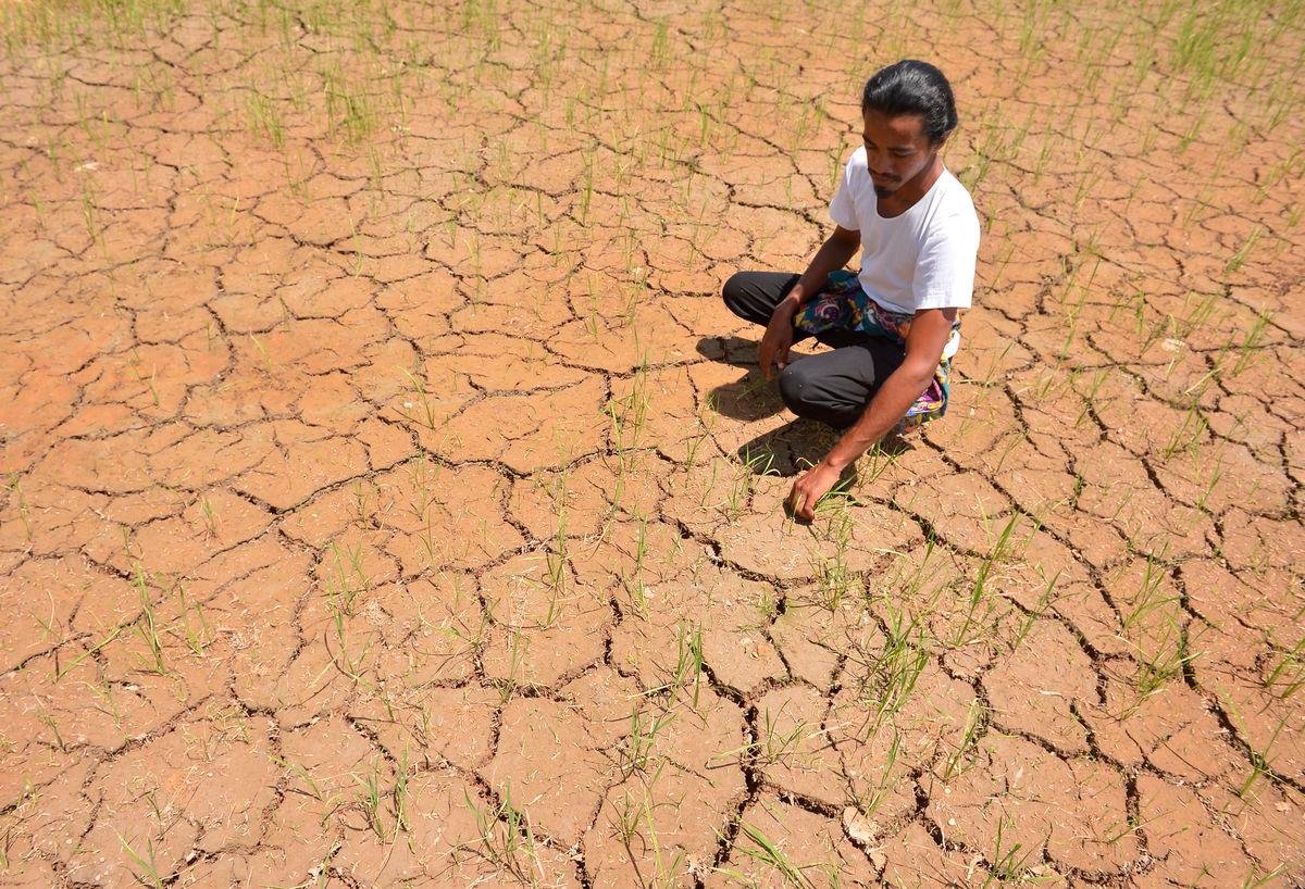 Chung said governments must invest in climate-smart agriculture, coastal protection and regional collaboration to safeguard food systems and rural livelihoods. – MASRY CHE ANI/THESUN