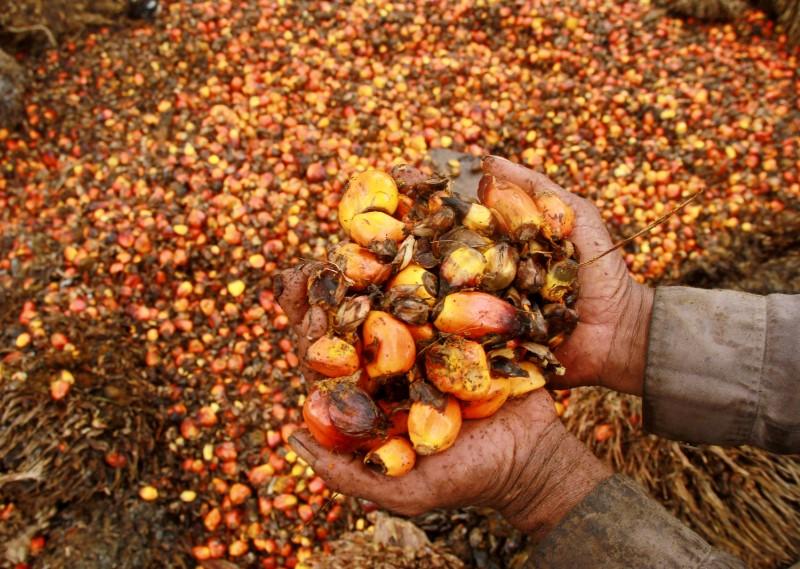 Malaysia to file legal action at WTO against EU palm oil biofuel curbs