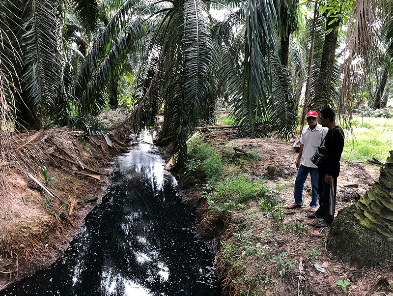 The ditch at Kampung Batu 10, Segari, in this photo taken on June 30, 2019. — Bernama