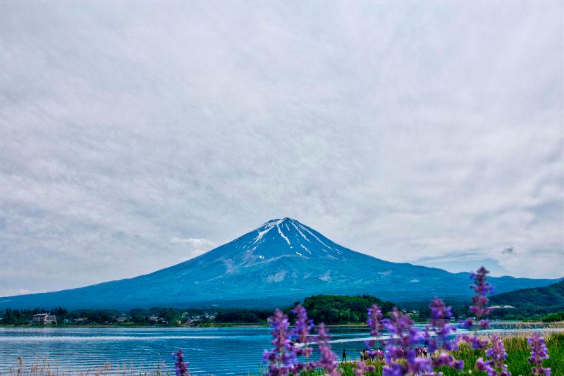 Japan protests China's airspace 'violation' near disputed islands