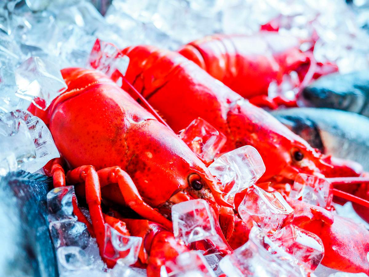 For representational purposes only-Lobsters. PEXELSpix
