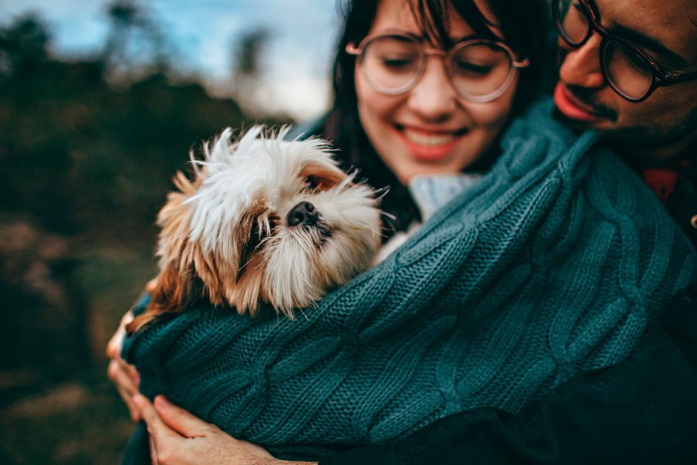 A happy and healthy relationship with your pet.