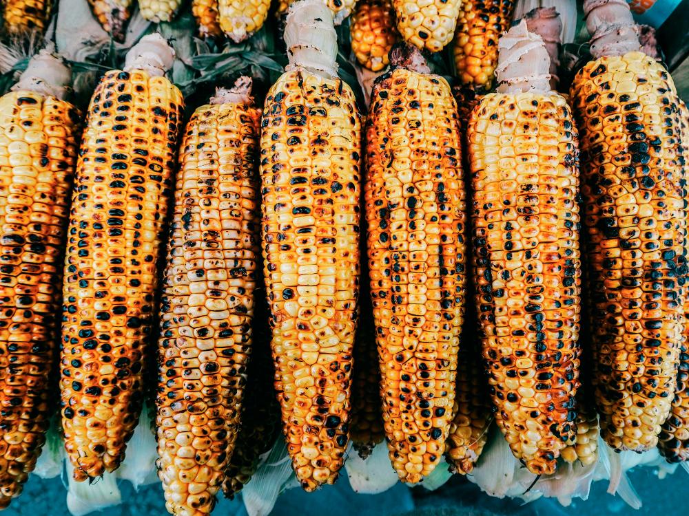 A smoky, charred treat perfect for barbecues. – PEXELSPIC