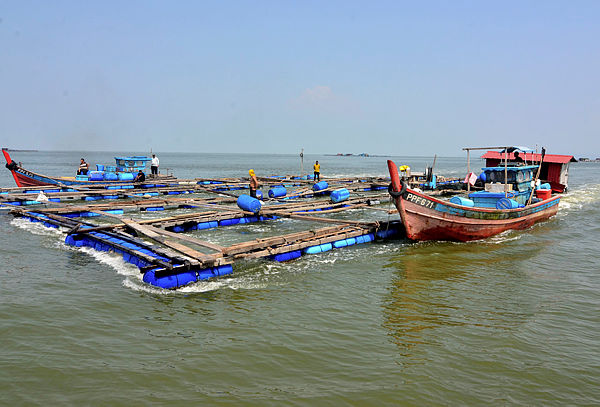 Two fishing boats raise fish cages that were damaged in the storm caused by typhoon Lekima, in Nibong Tebal, today. — Bernama