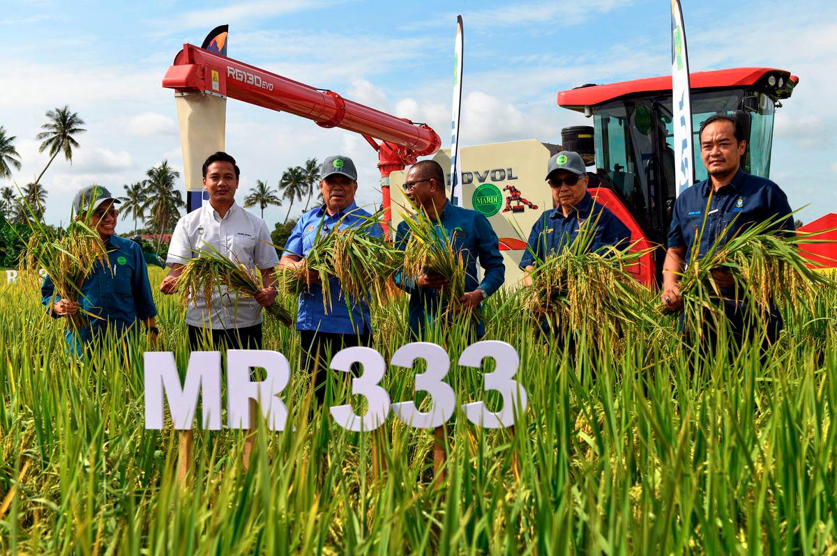 Minister of Agriculture and Food Security Datuk Seri Mohamad Sabu (third from left) at the MARDI MR 333 New Paddy Variety Declaration Ceremony in Kampung Lahar Minyak here today. – BERNAMA