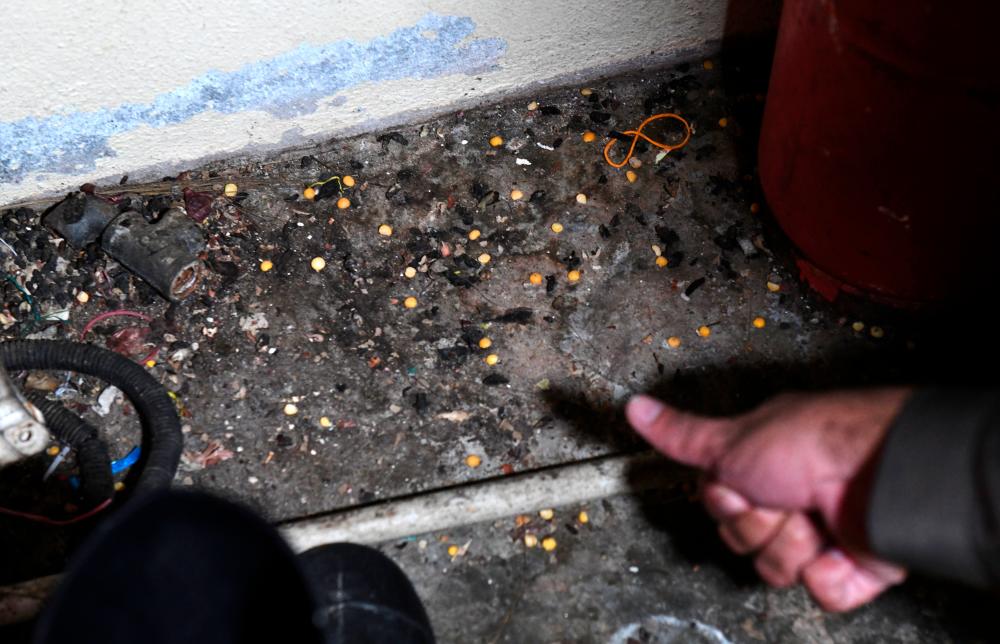 GEORGE TOWN, 3 Ogos -- Najis-najis tikus yang terdapat di tempat simpanan barang-barang makanan di sebuah restoran di Tanjung Bunga pada operasi hari ini fotoBERNAMA