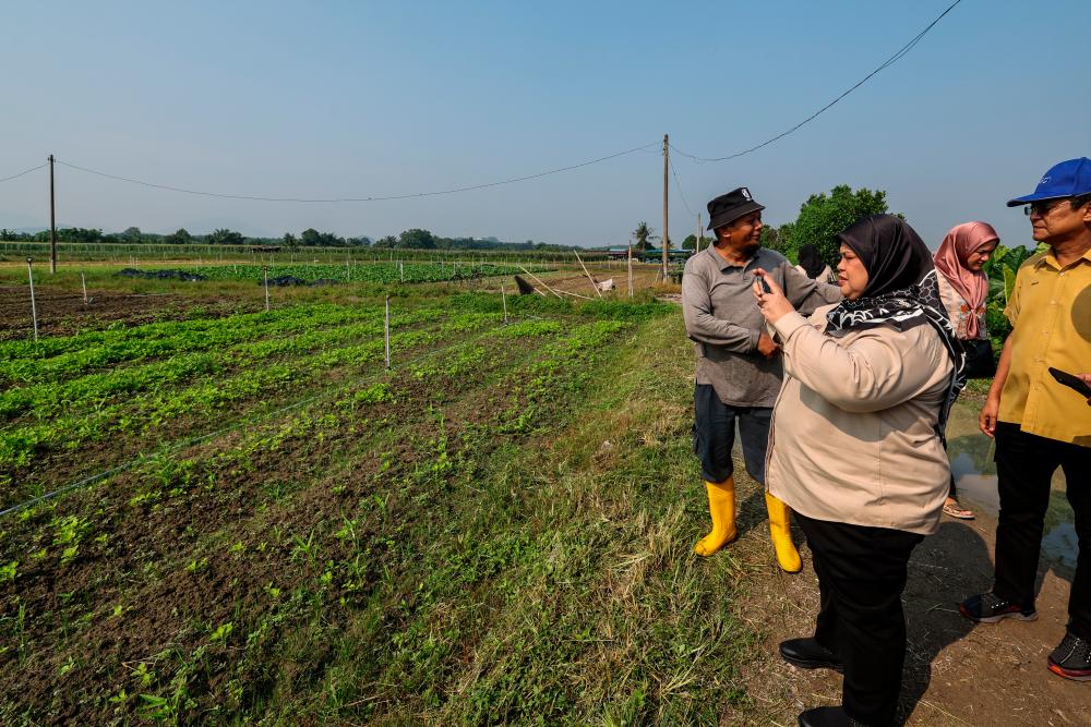 FotoBernama