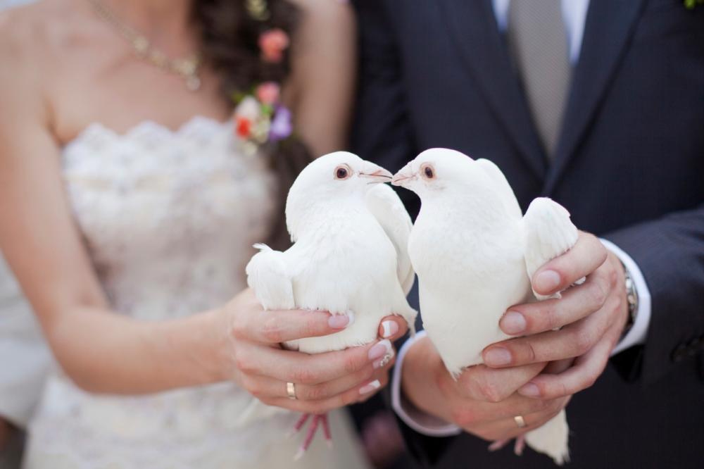 Philippines. – ST LOUIS DOVES $!Philippines. – ST LOUIS DOVES