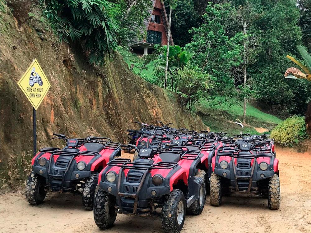 Enjoy navigating lush landscape on ATVs - TRIPADVISOR . $!Enjoy navigating lush landscape on ATVs - TRIPADVISOR .