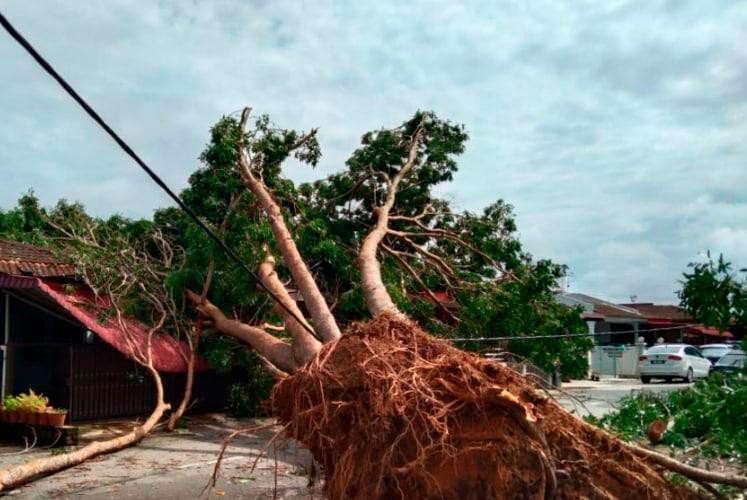 Gambar hiasan/fotoBERNAMA