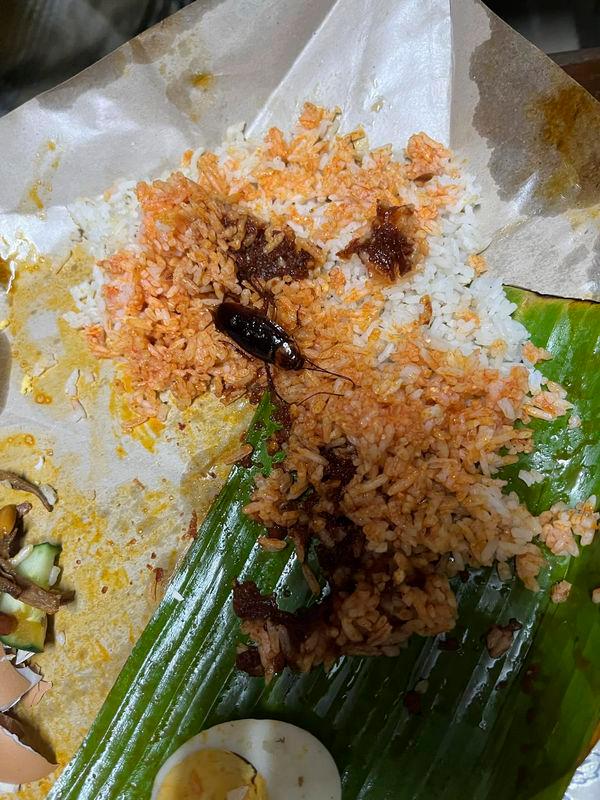 “Pulled it out and there it was” - M’sian finds huge cockroach hidden inside his nasi lemak