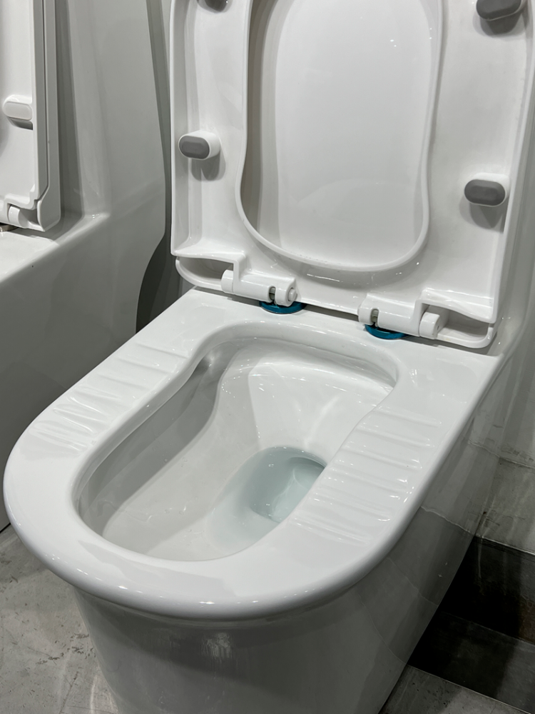 $!Wong says some toilet designs – like this one with grip areas on the seat, for example, can adapt to different usage needs, accommodating both squatting and sitting positions. “Such versatility allows users to choose based on their preferences and cultural habits, enhancing comfort and flexibility in choice.”