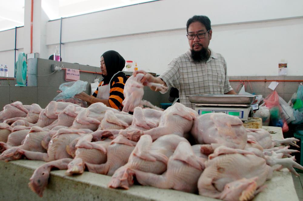 IPOH, 8 Julai -- Peniaga Zaini Shaari, 52, (kanan) sibuk menyusun ayam untuk keperluan orang ramai membeli sebagai persiapan menyambut Aidiladha Ahad ini pada tinjauan di Pasar Ayam Ipoh hari ini. fotoBERNAMA