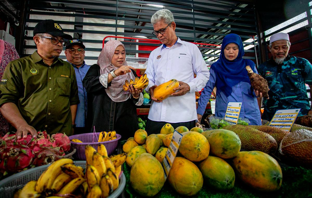 BERNAMApix