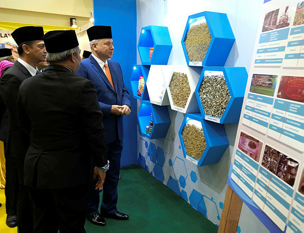 The Sultan of Perak, Sultan Nazrin Shah at the Perak Fisheries Development Authority of Malaysia (LKIM) in Lumut today. — Bernama