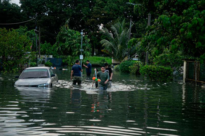 BERNAMApix