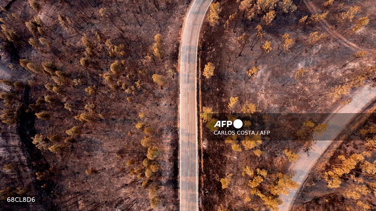 This aerial picture taken on July 30, 2025 shows burned areas following a wildfire in Arouca, northern Portugal. Hundreds of firefighters were battling to contain forest blazes across Portugal that have led to almost the whole country being put on high alert for fires. - CARLOS COSTA / AFP
